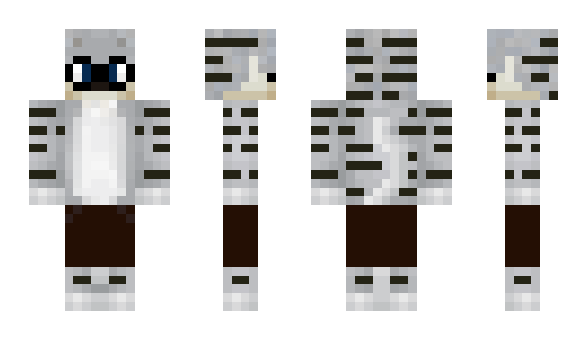 Howk Minecraft Skin