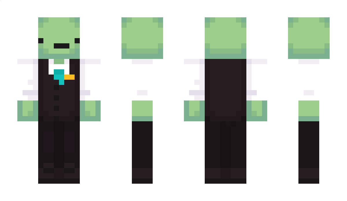 turtils Minecraft Skin