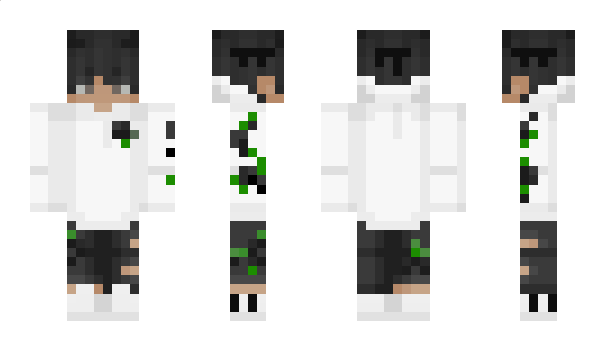 MagierMeister Minecraft Skin