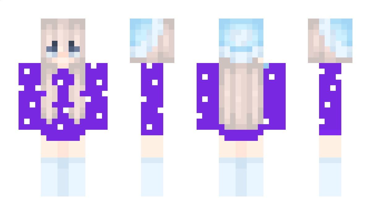 PROVICTINIGAMER Minecraft Skin