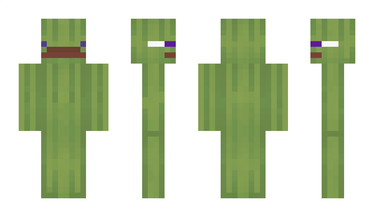 Arbuzenich Minecraft Skin