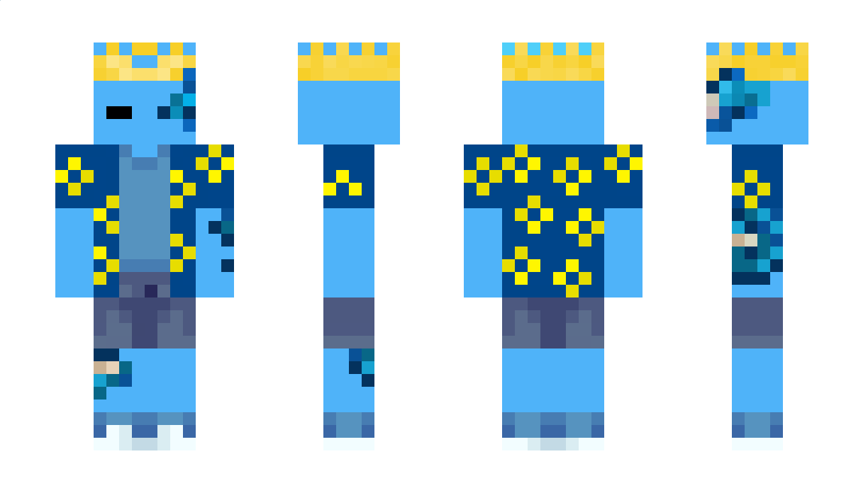 FrameFlags Minecraft Skin