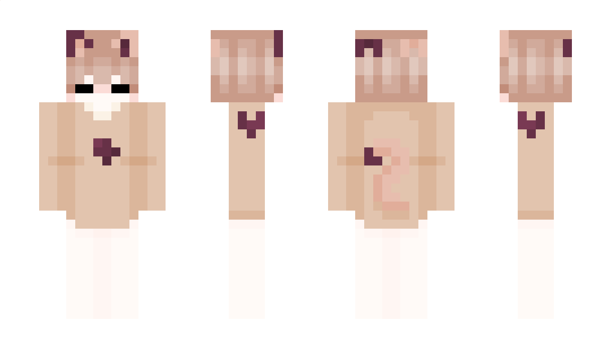 Stupide Minecraft Skin