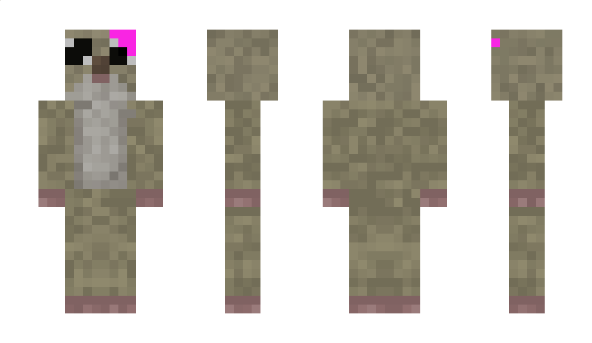 Tgopisdijks Minecraft Skin