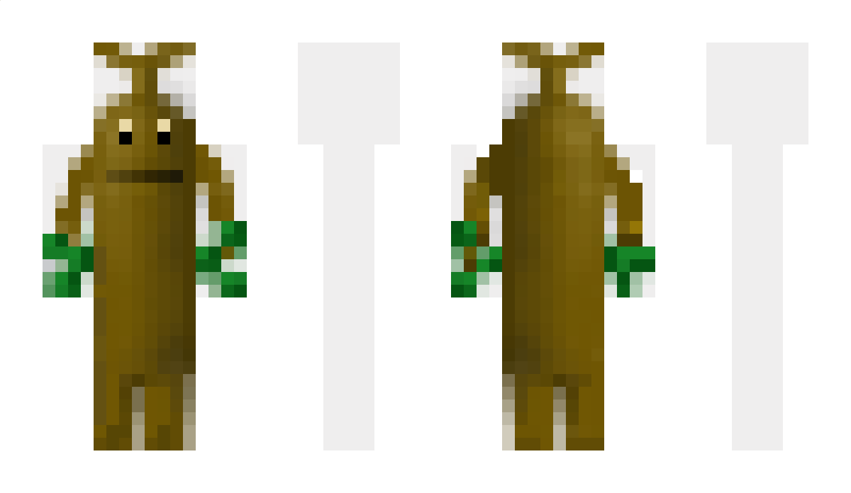 plastyc Minecraft Skin