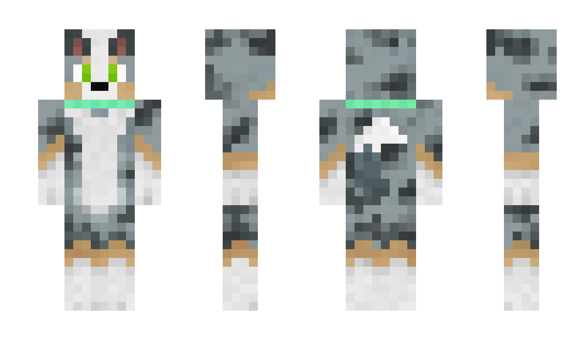 BorderCollie_ Minecraft Skin