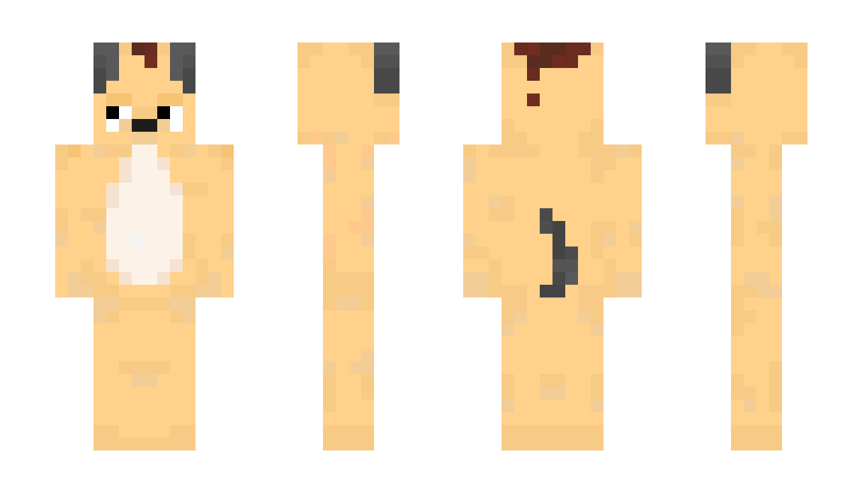 potatois Minecraft Skin