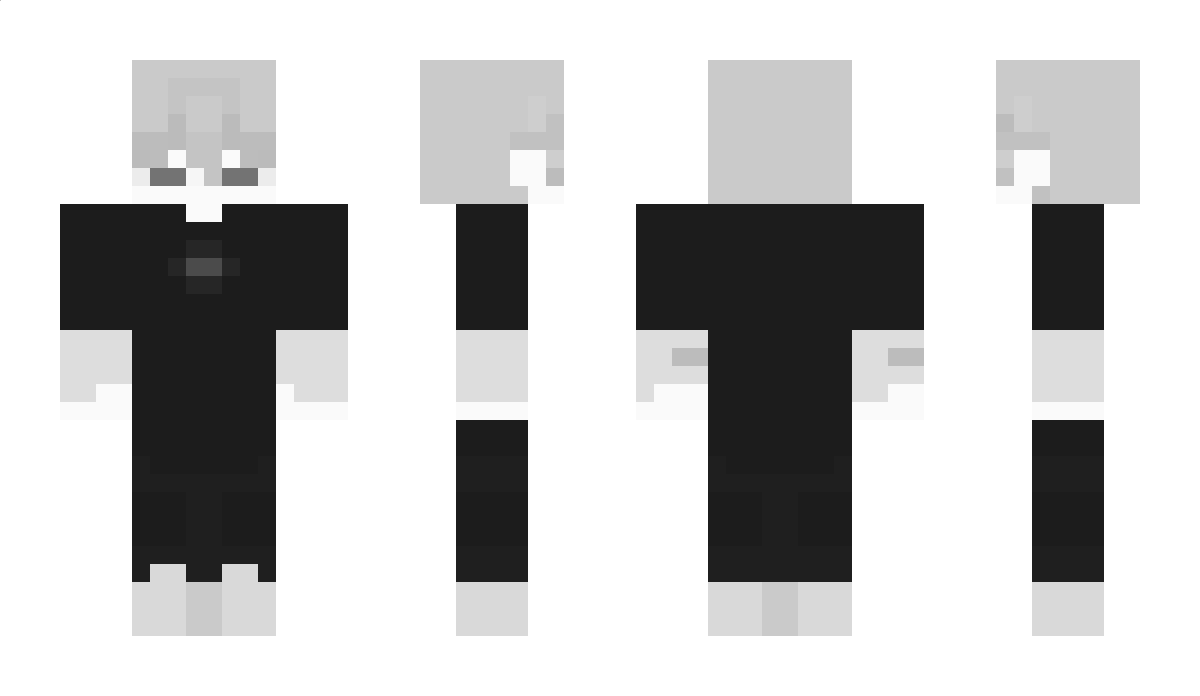 Araiguma_x Minecraft Skin