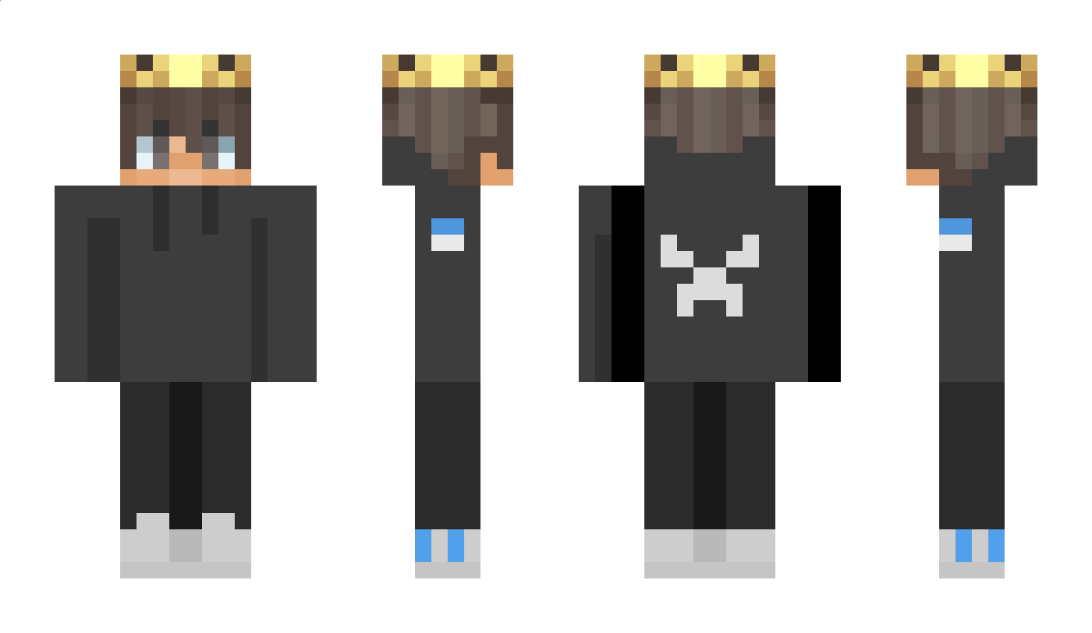 pingouinq_mp5 Minecraft Skin