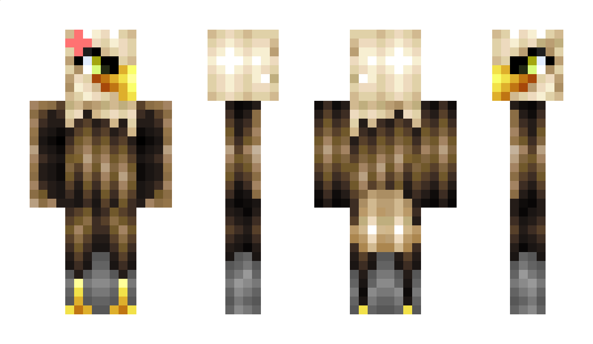 Eyrie Minecraft Skin