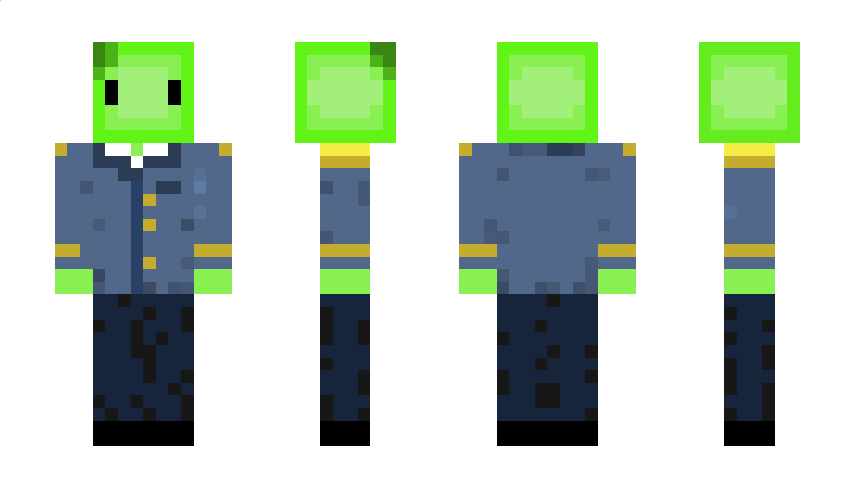 MineTurtleet Minecraft Skin