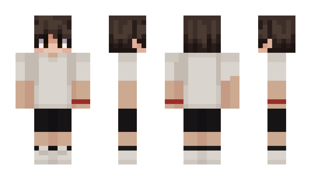 apartizan Minecraft Skin