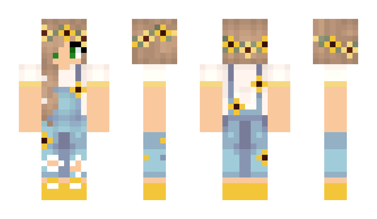 Marauders Minecraft Skin