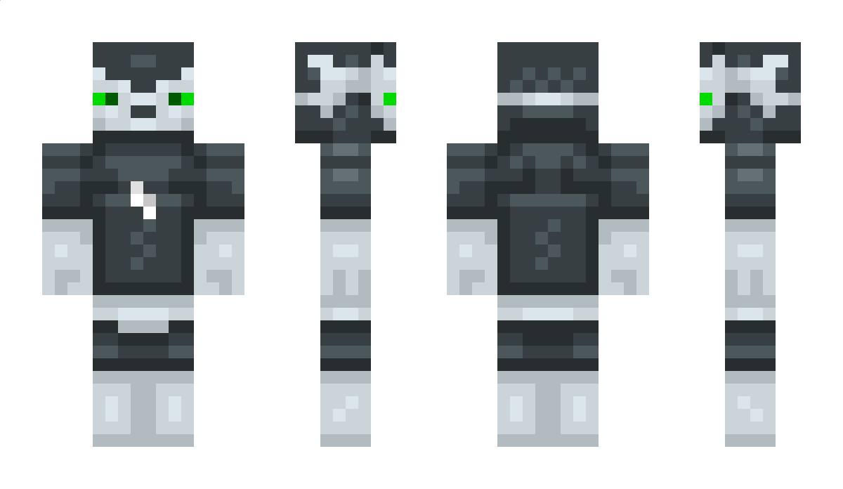 coolgamer1234567 Minecraft Skin