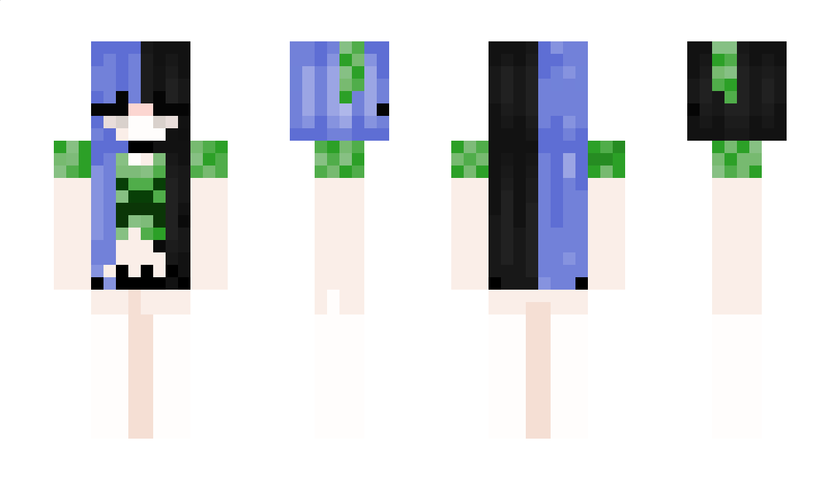 ToeKun Minecraft Skin