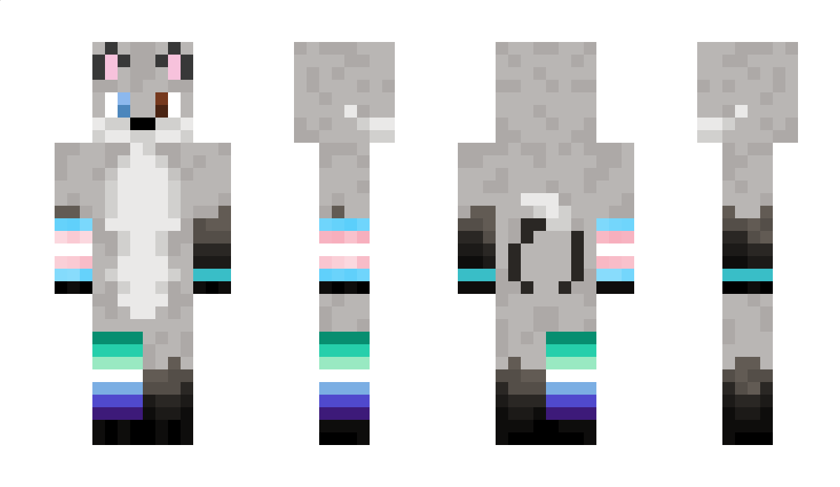 somerandomfeline Minecraft Skin