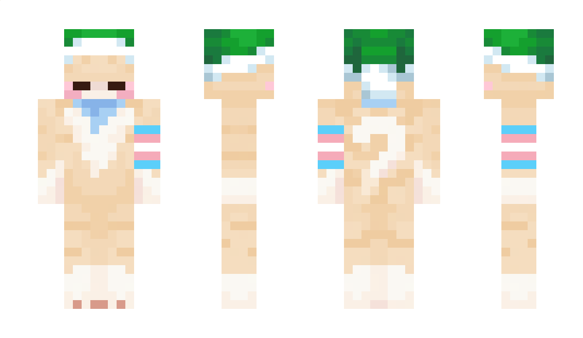 Biz_cat Minecraft Skin