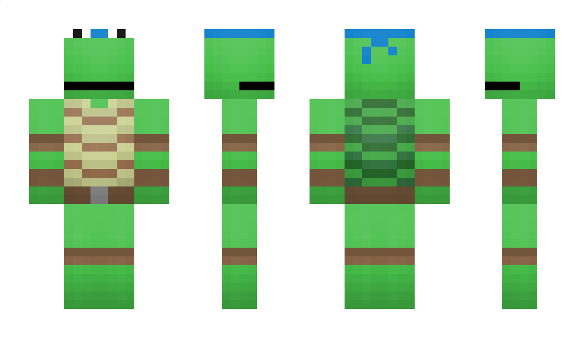 DjBr0n1 Minecraft Skin