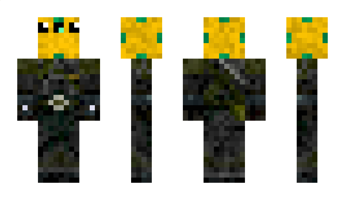 IchBinNieDa Minecraft Skin