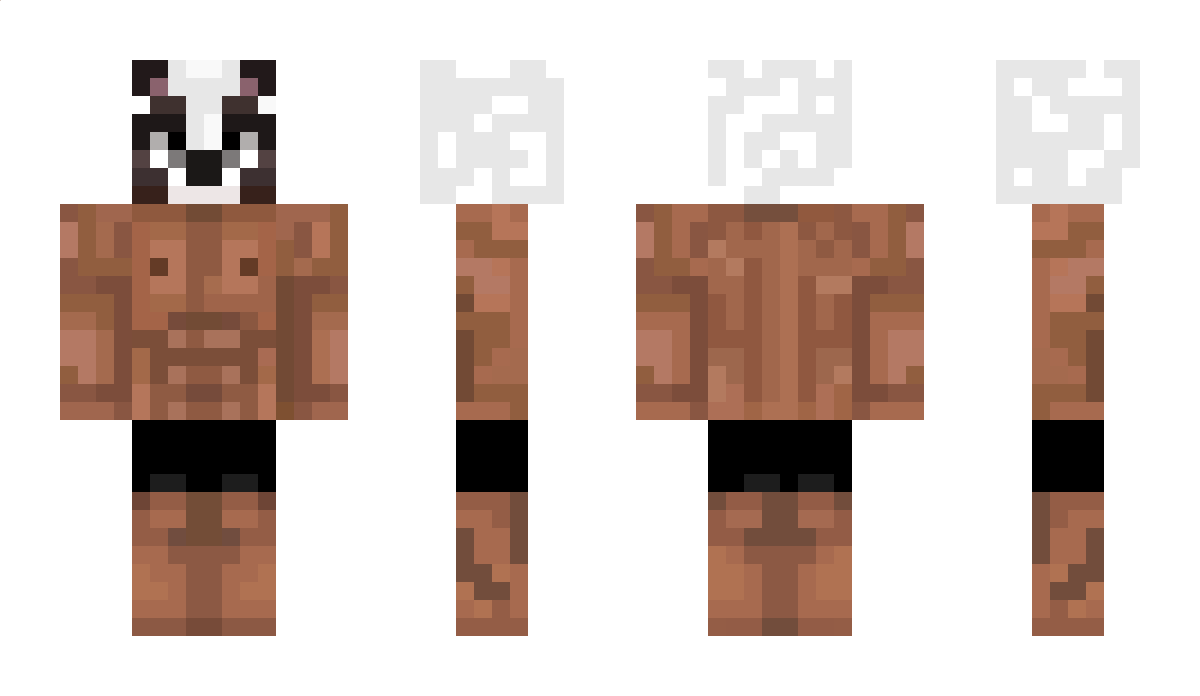 OverlyAssertive Minecraft Skin