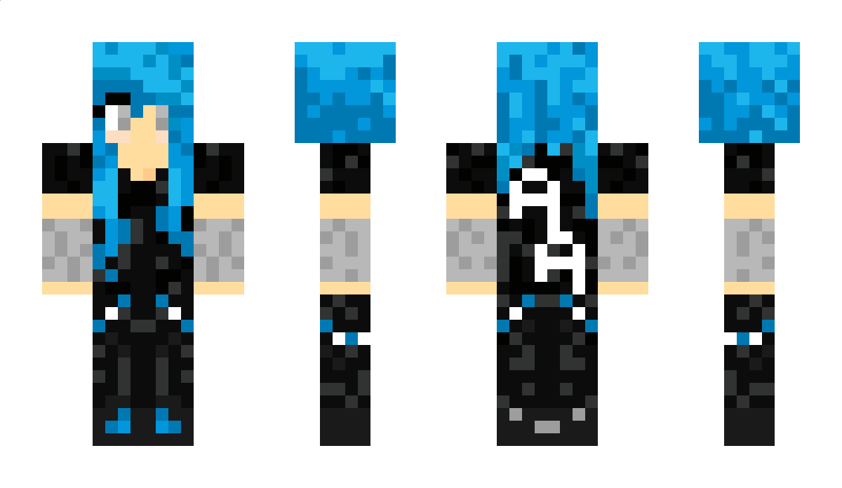 PPI Minecraft Skin