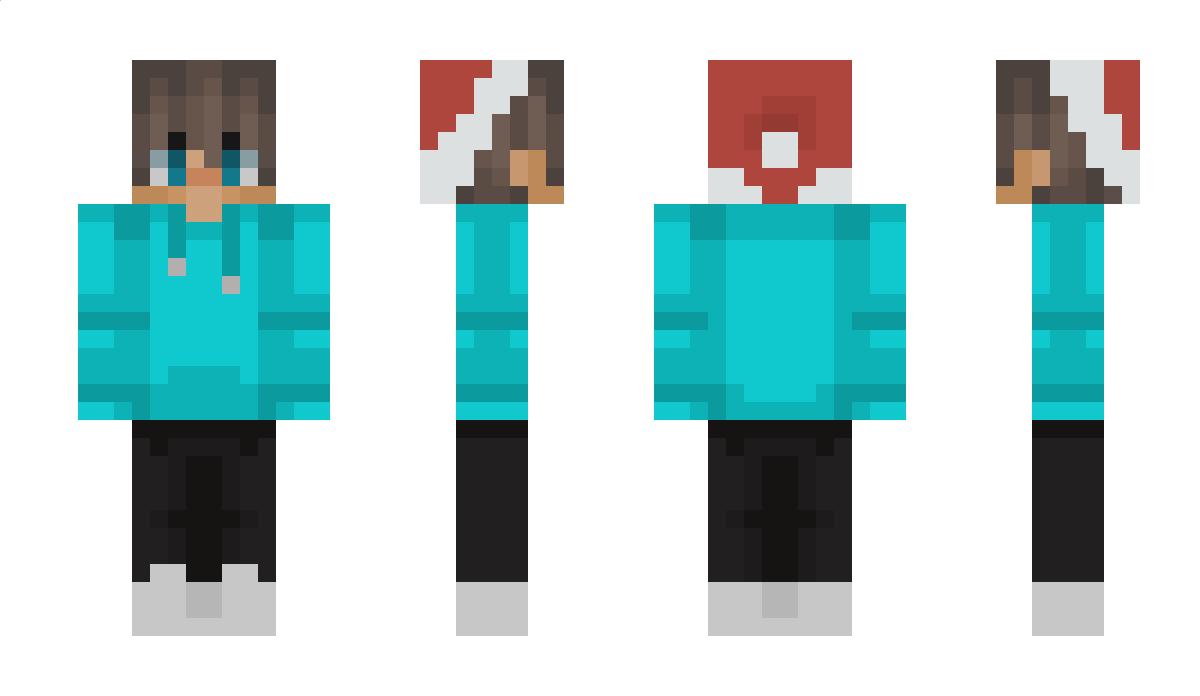 mr_mindstormer Minecraft Skin