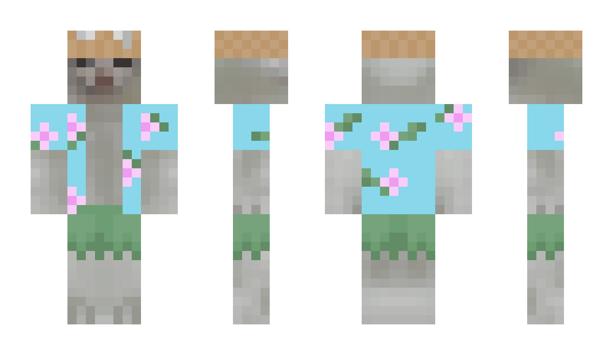 KiwiKiliaan Minecraft Skin