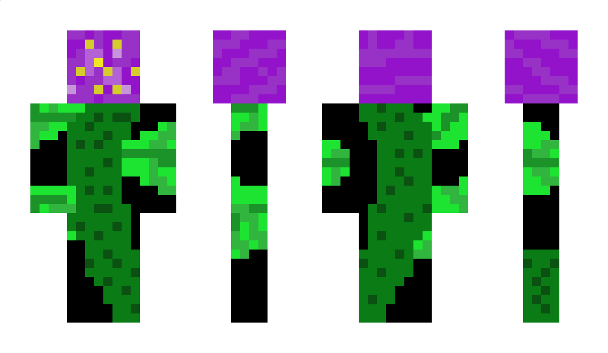 PixelKing333 Minecraft Skin