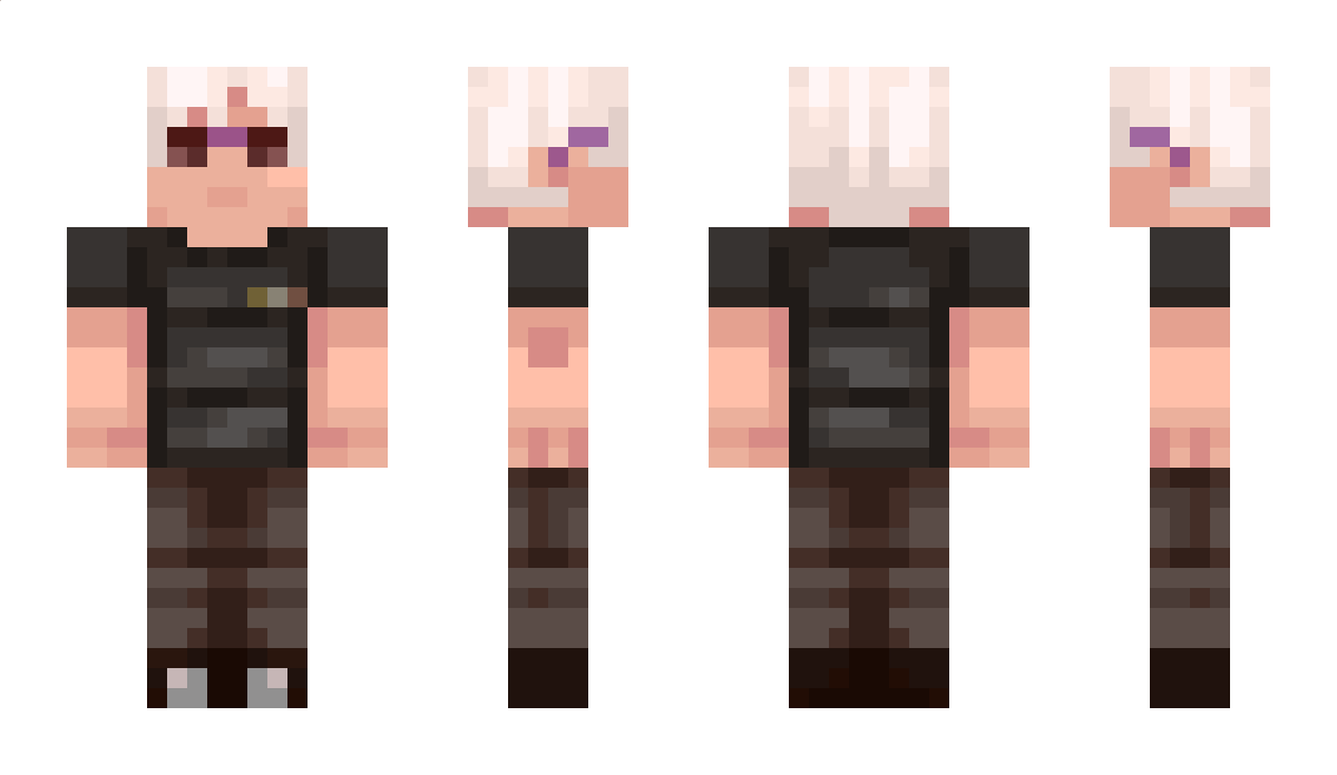 Sashking Minecraft Skin