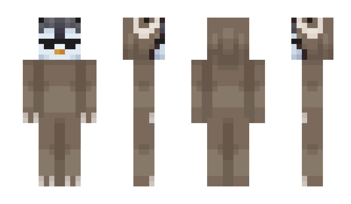 _niugneP Minecraft Skin