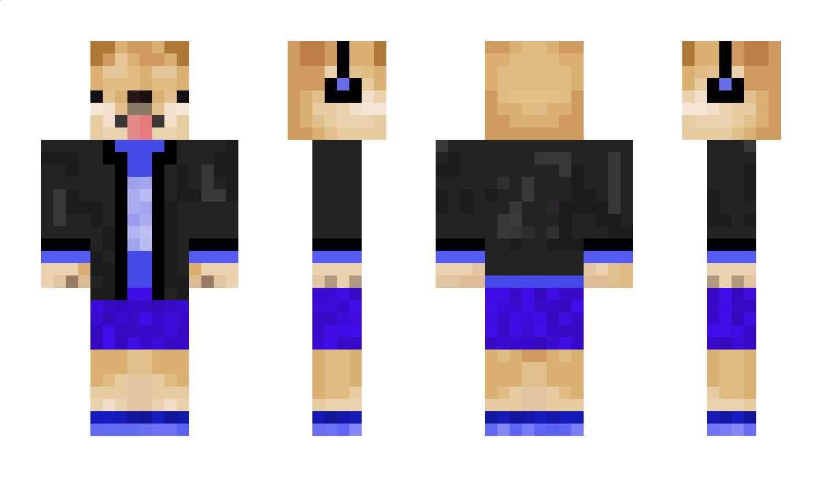 sirkorgo Minecraft Skin