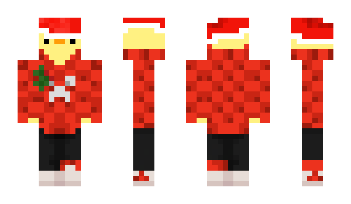 pawelix8777 Minecraft Skin