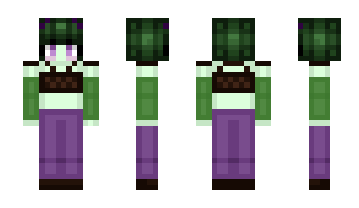 SneakySnekky Minecraft Skin