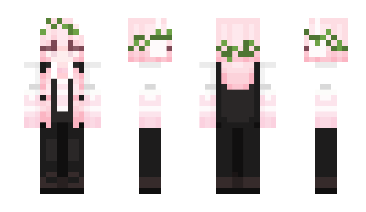 hacerTBB Minecraft Skin