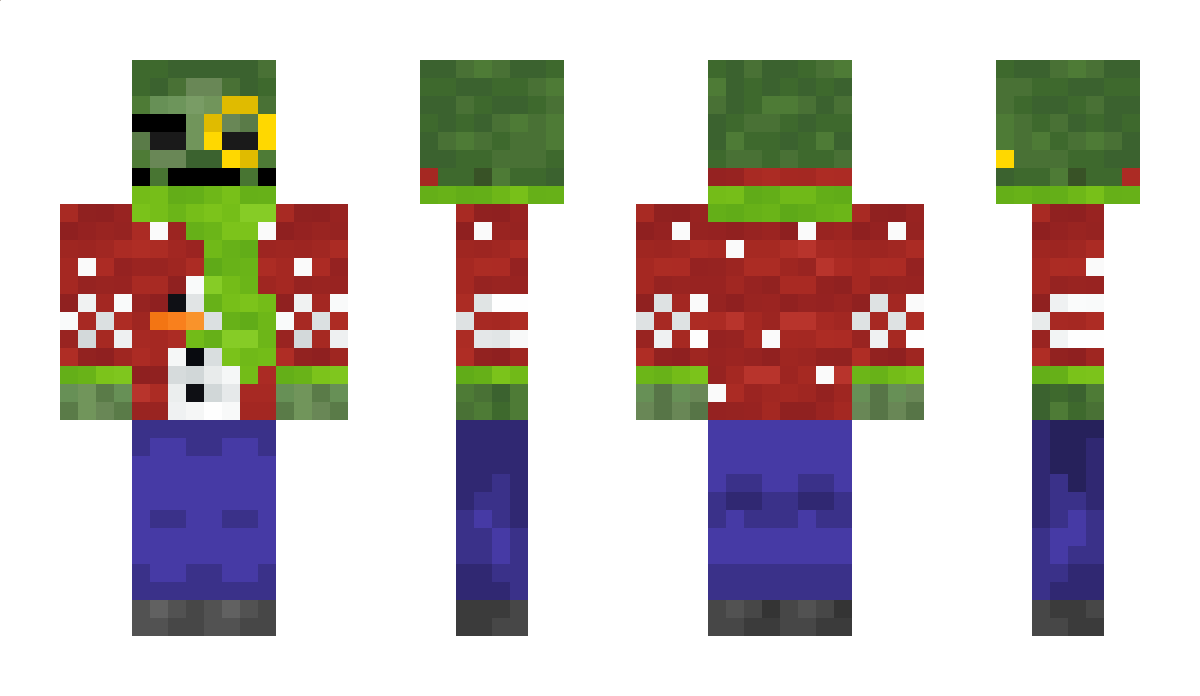 Melonhead2908 Minecraft Skin