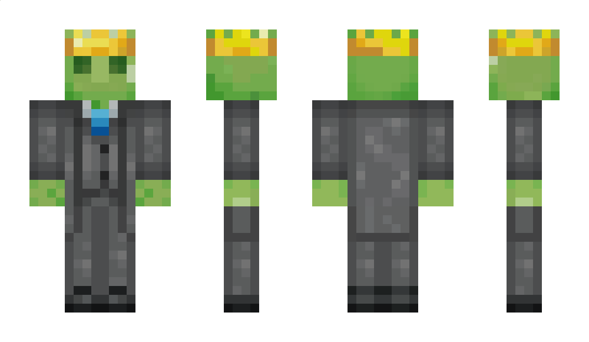 dragonblue071 Minecraft Skin