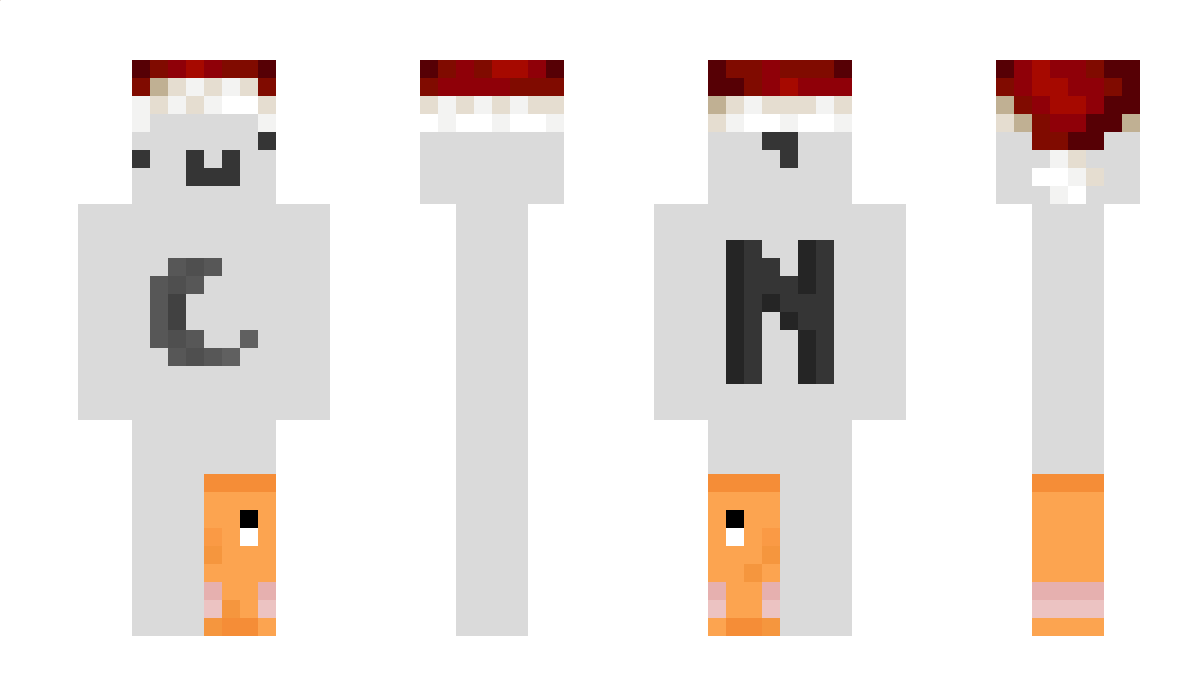 __d2 Minecraft Skin