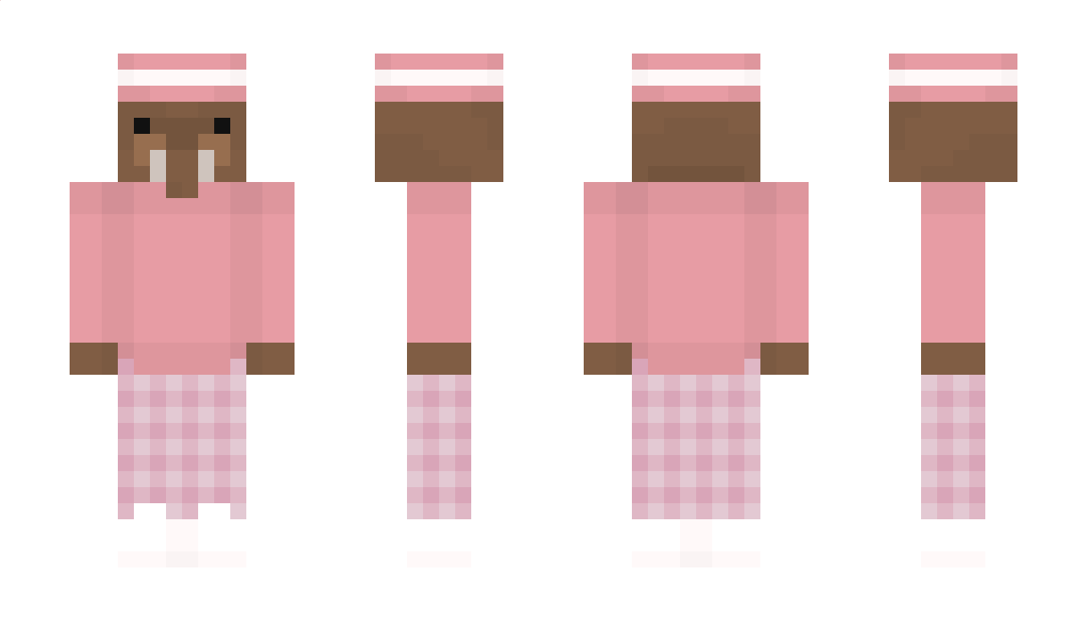 Walross31 Minecraft Skin