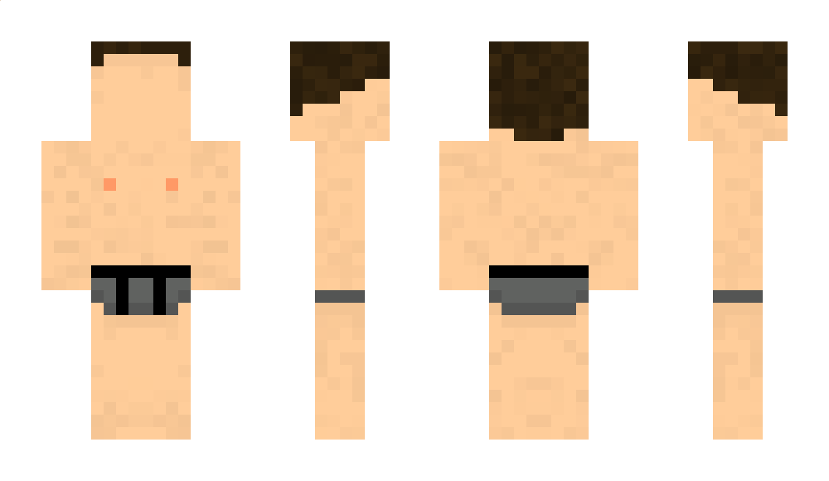 Skiz Minecraft Skin