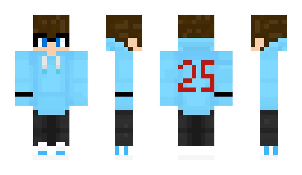 PartyFighter25 Minecraft Skin