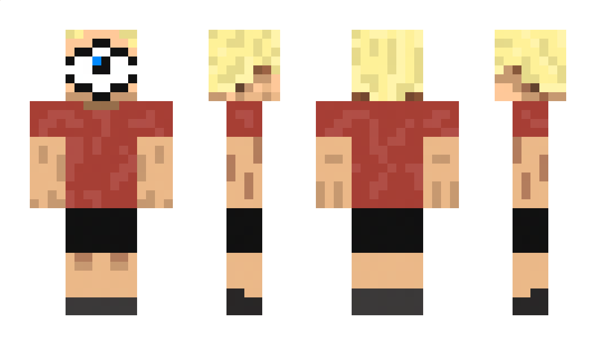 tomcomtomcom Minecraft Skin