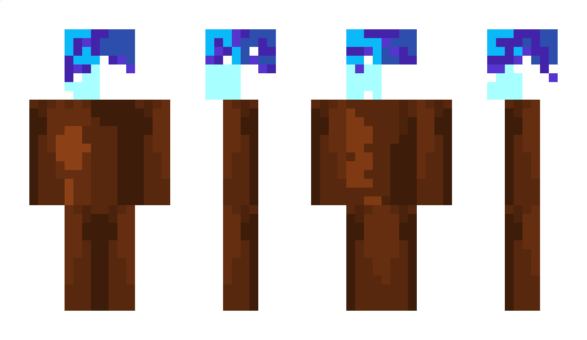 EnchantedTorch Minecraft Skin