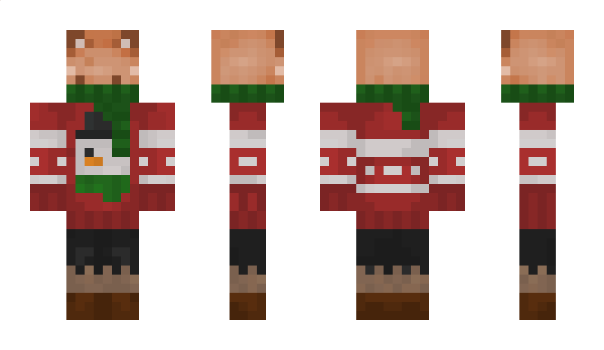 3O3Craft Minecraft Skin