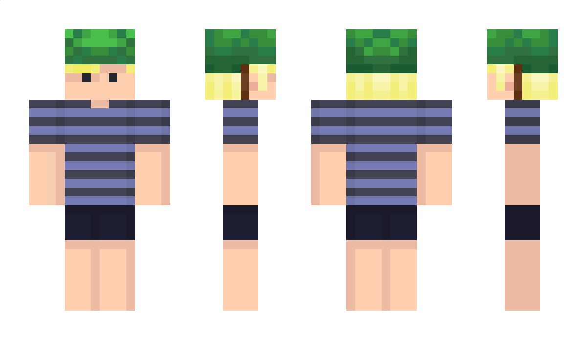 sawl Minecraft Skin