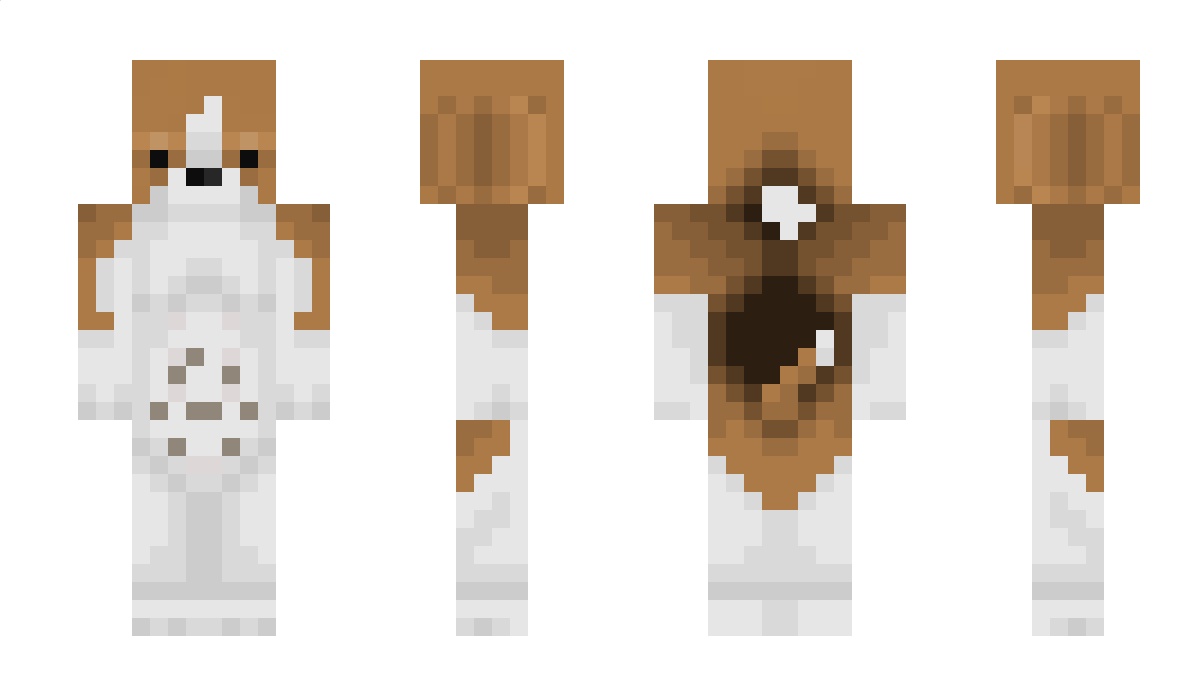 Beeoo Minecraft Skin