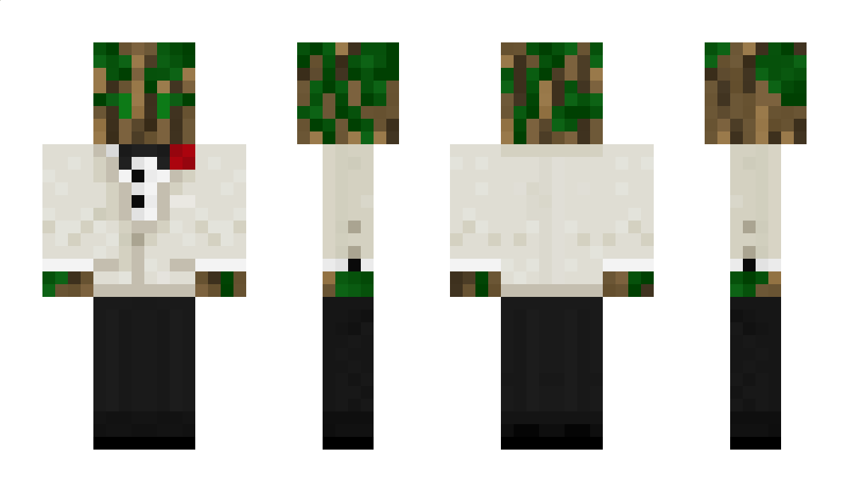 WoodyIsTheName Minecraft Skin