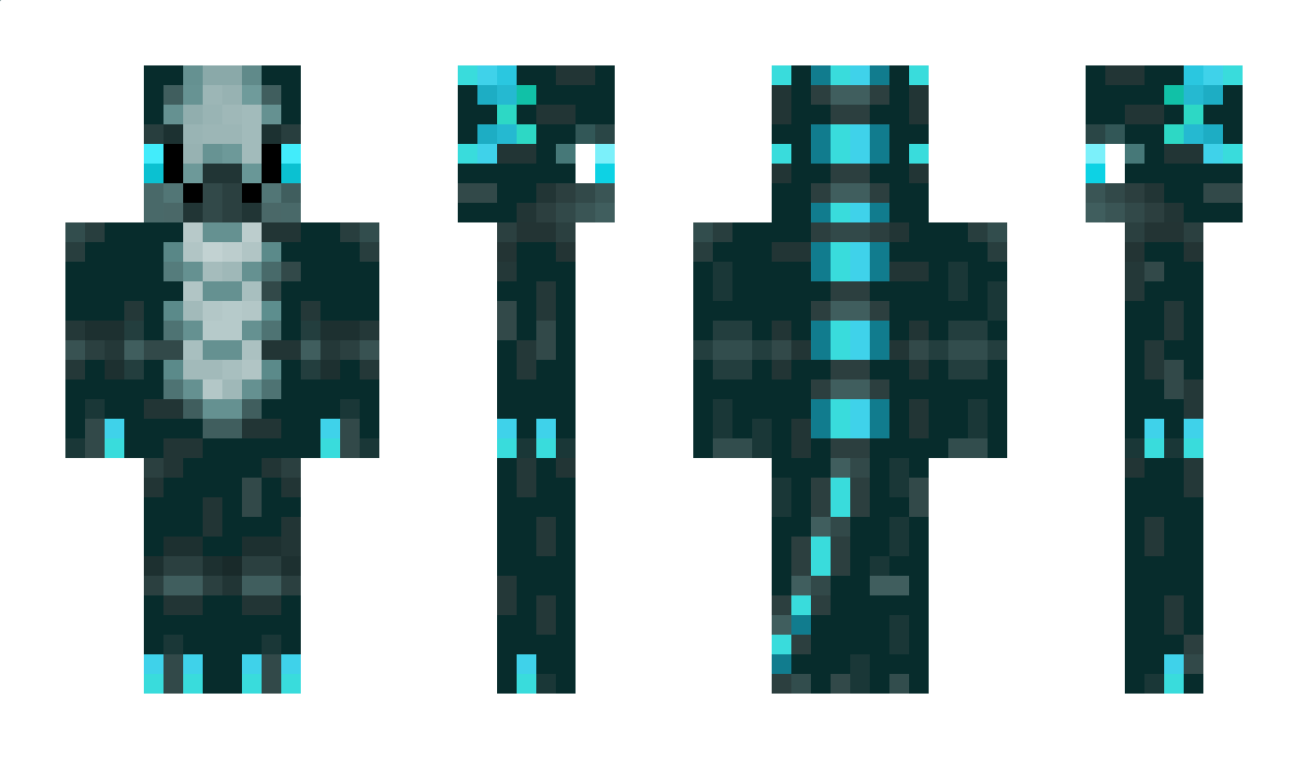 superdragon1111 Minecraft Skin