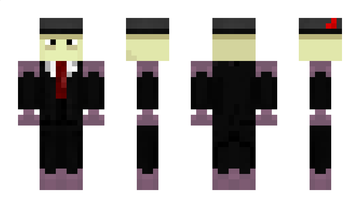 Rakkonakt Minecraft Skin