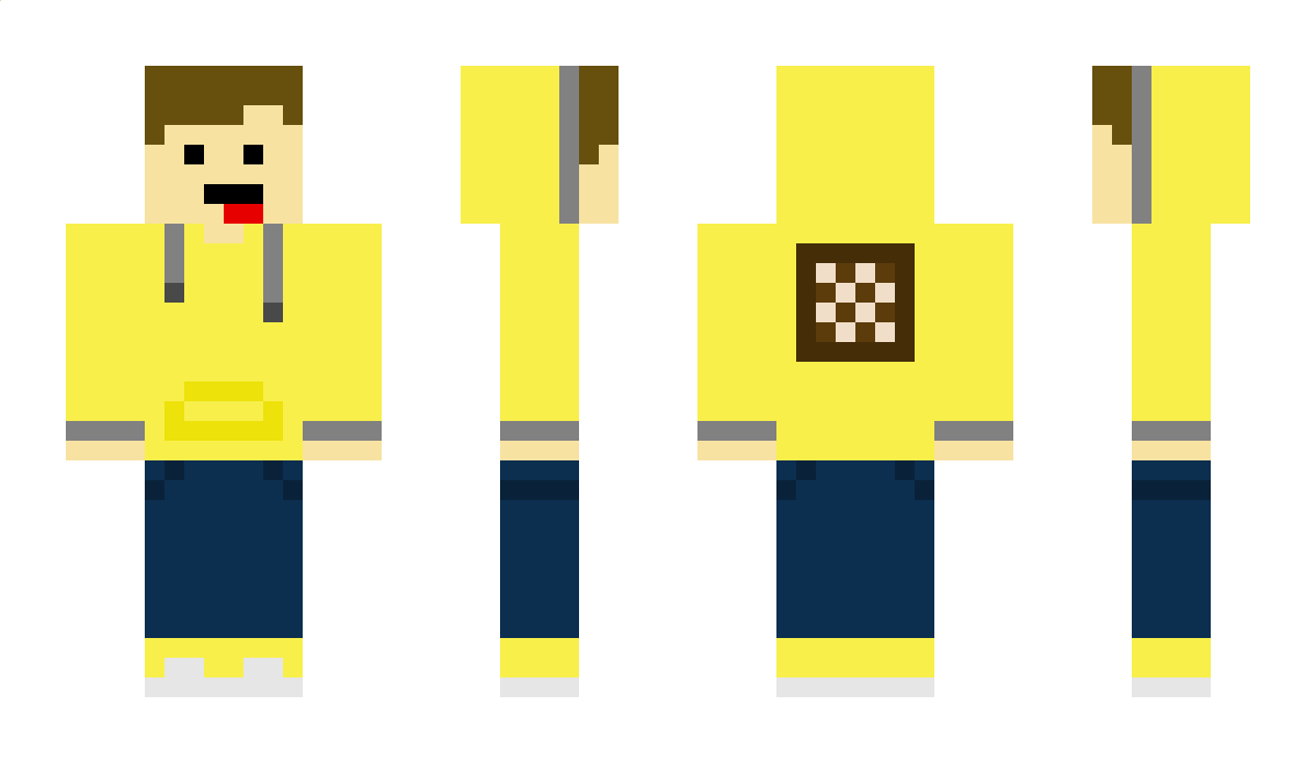 Playre Minecraft Skin