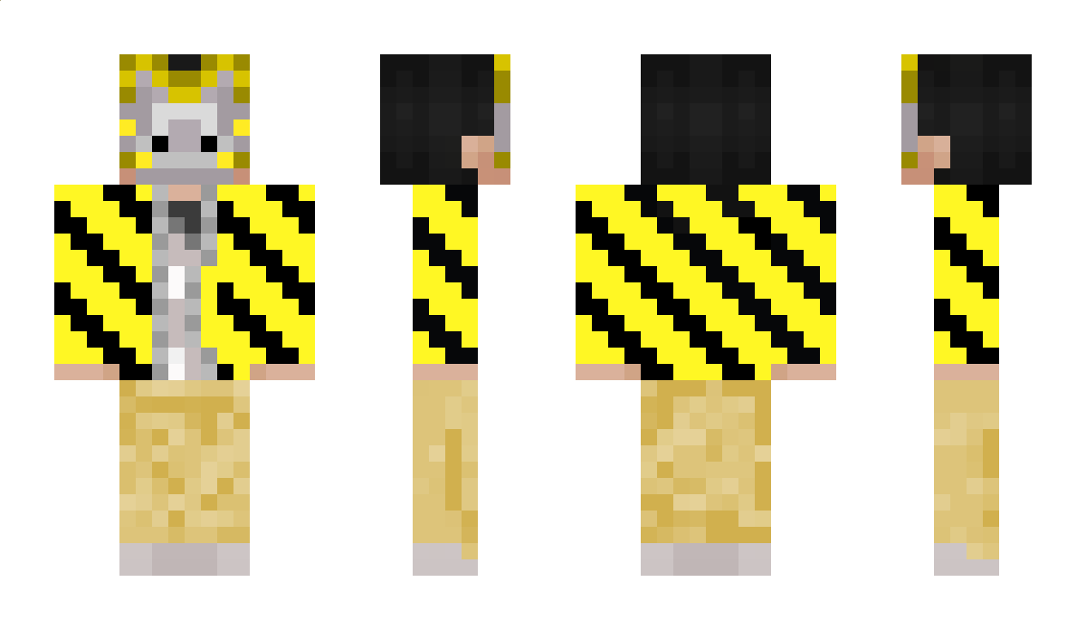 CA2T10N1745 Minecraft Skin